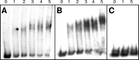 FIG. 8.