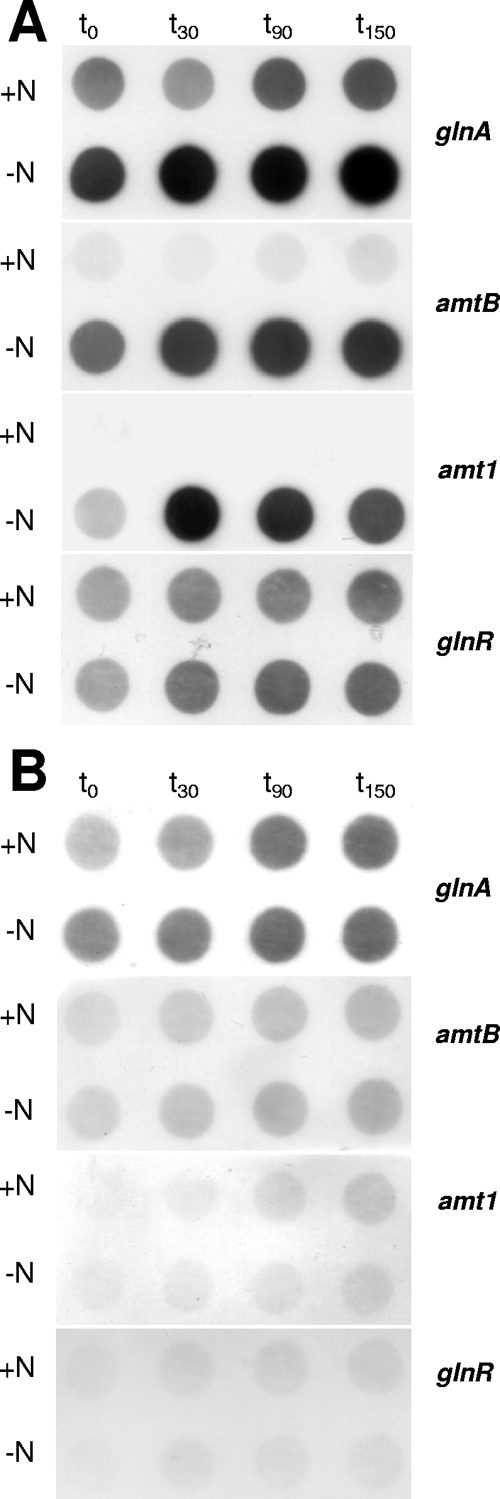 FIG. 4.