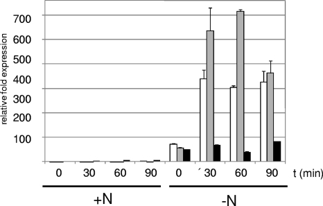 FIG. 5.