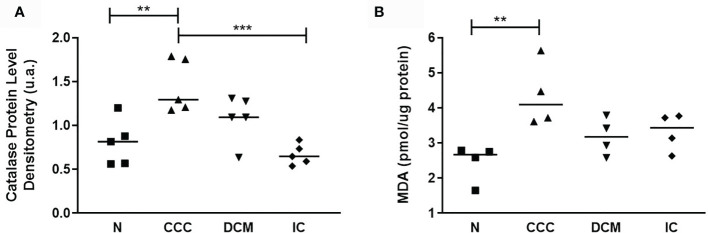 Figure 5