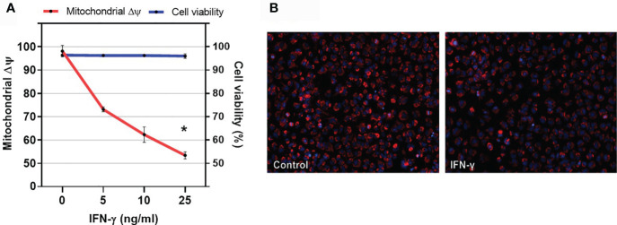 Figure 6