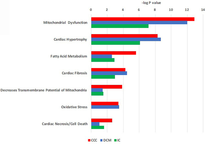 Figure 2