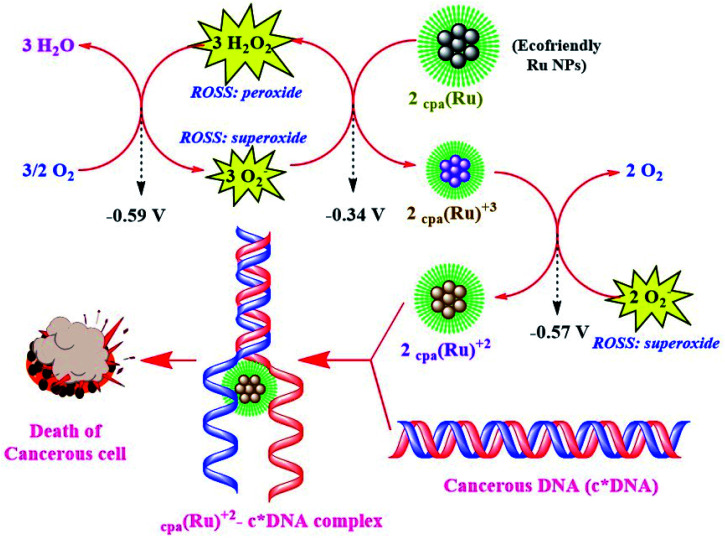 Scheme 5