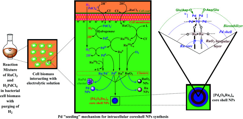 Scheme 4