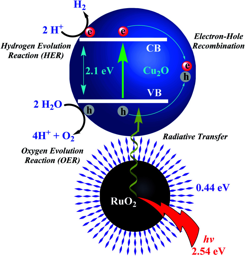 Scheme 6