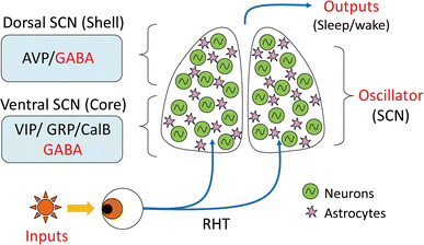 Fig. 2