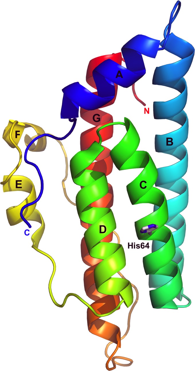 Fig 1