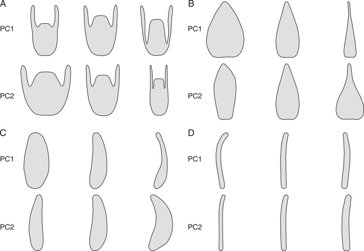 Fig. 2.