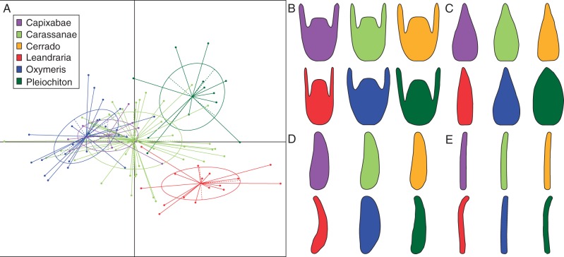 Fig. 4.