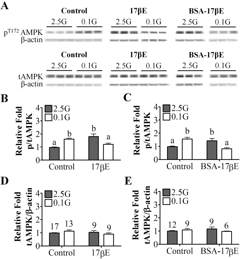 Figure 6