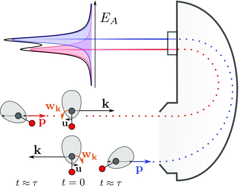 Fig. 1.