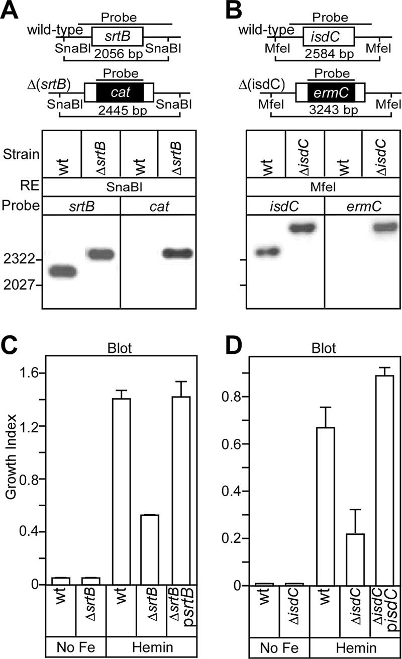 FIG. 6.