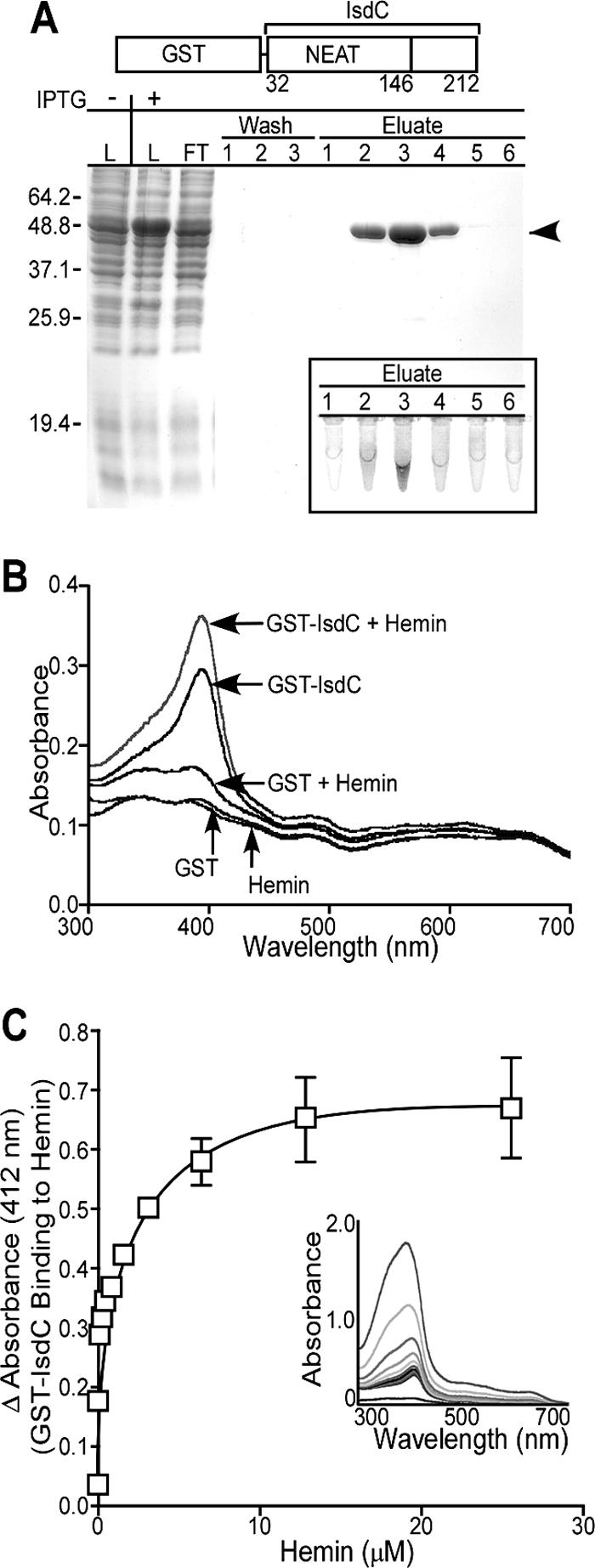 FIG. 5.