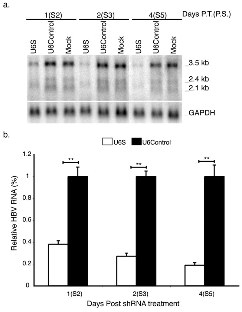 FIG. 6