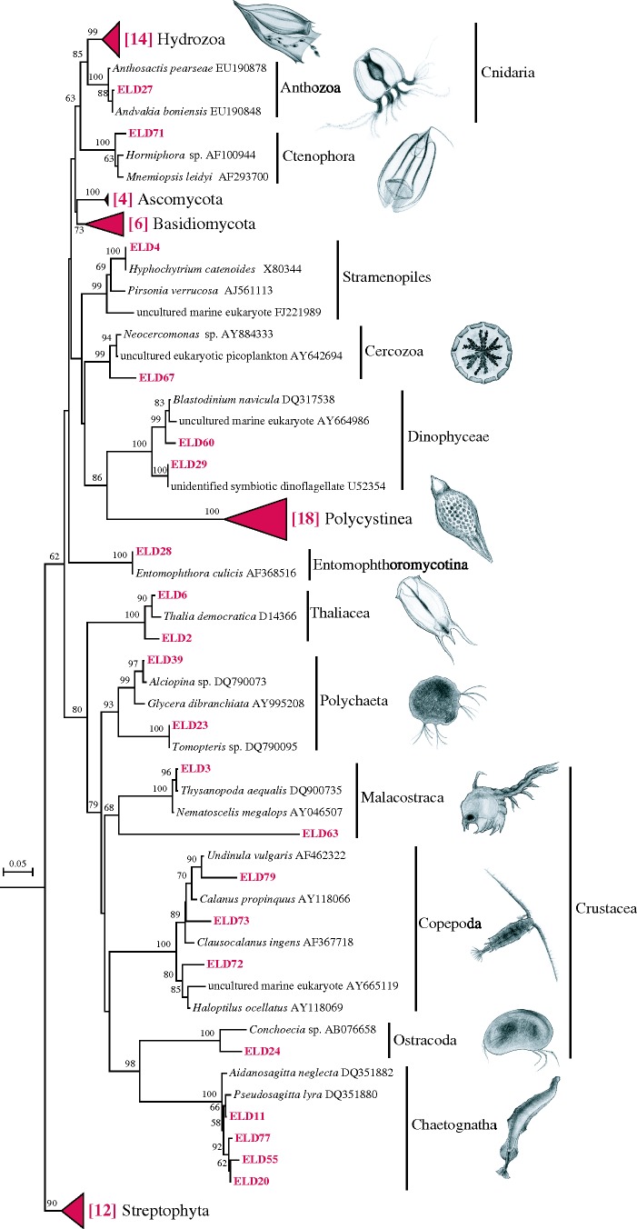 Figure 1.