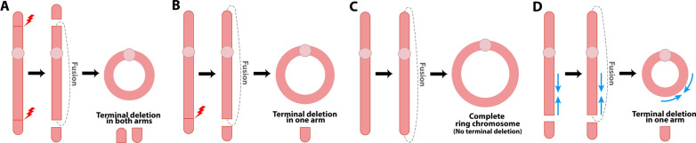 Fig. 8