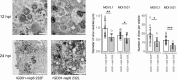 Fig 7