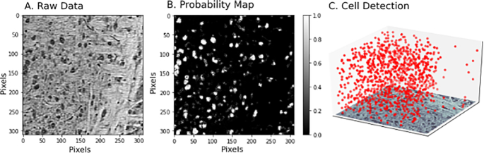 Figure 4: