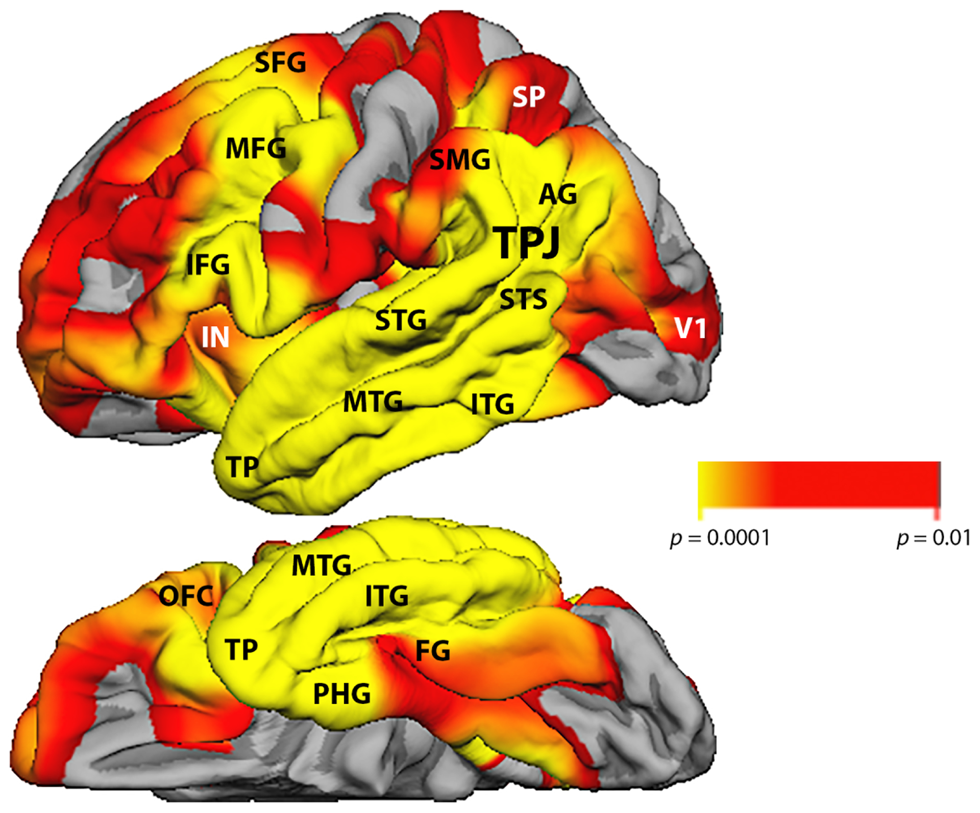 Figure 1-