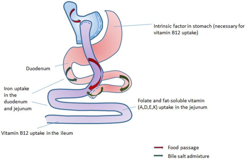 Figure 5.