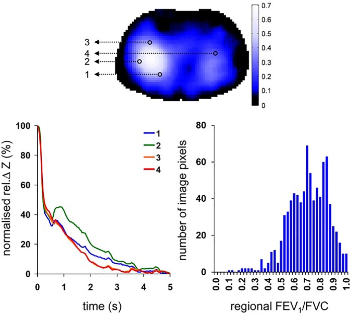 Figure 6