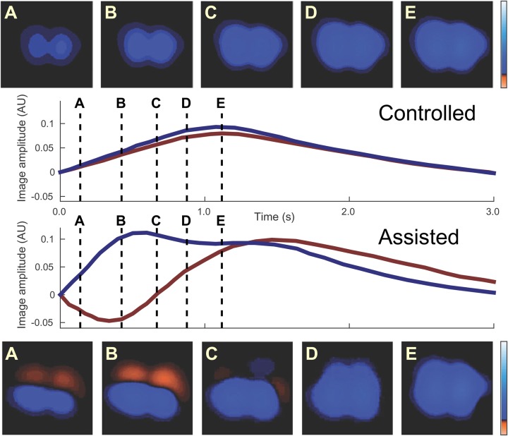 Figure 4