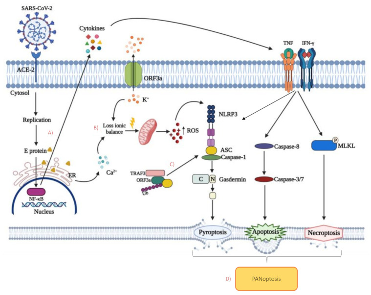 Figure 2