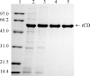 FIG. 2.