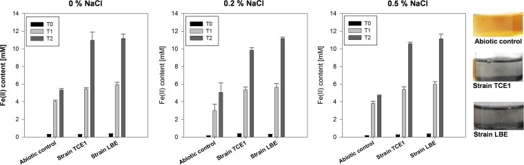 FIG 1