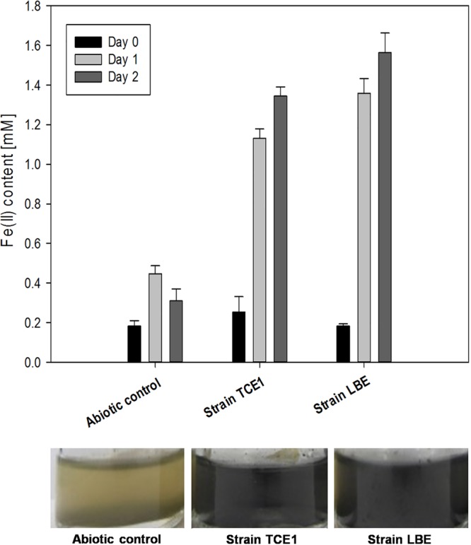 FIG 2