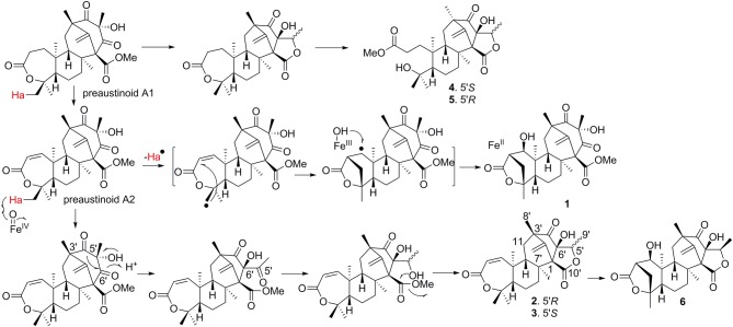 Scheme 1