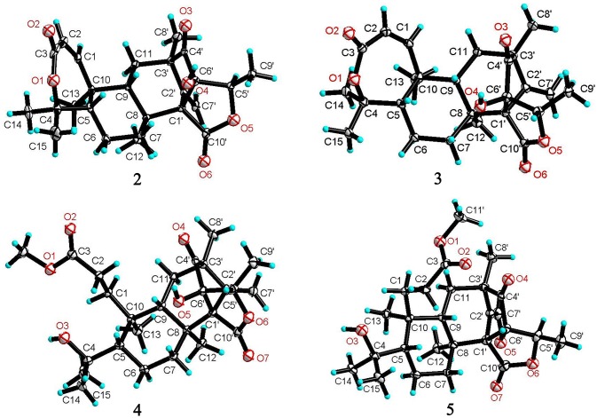 Figure 5