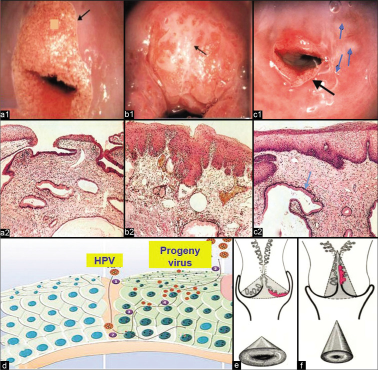 Figure 2: