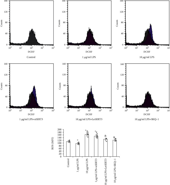 Figure 5