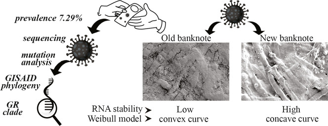 Unlabelled Image