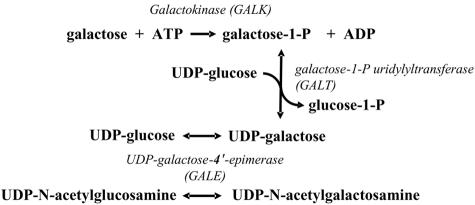 Figure  1