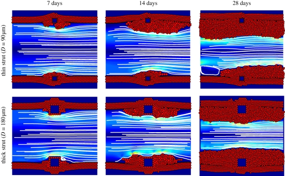 Figure 2.