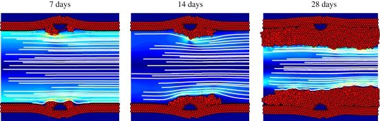 Figure 5.