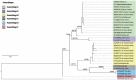 Fig. 2: