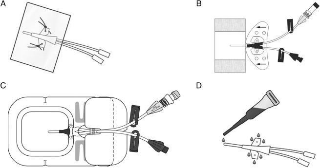 Figure 1