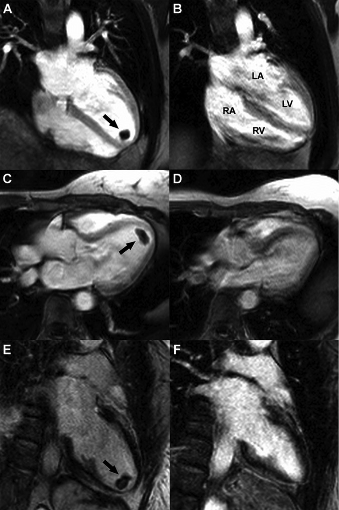 Figure 2