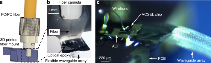 Fig. 2