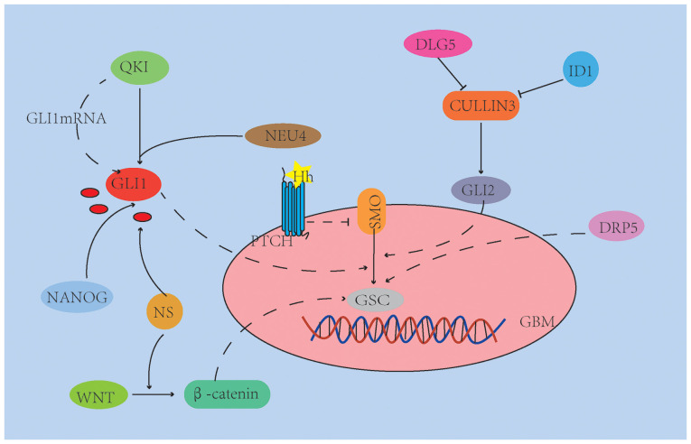 Figure 2.