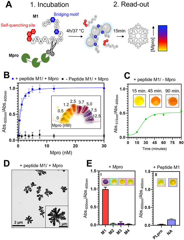 Figure 4.