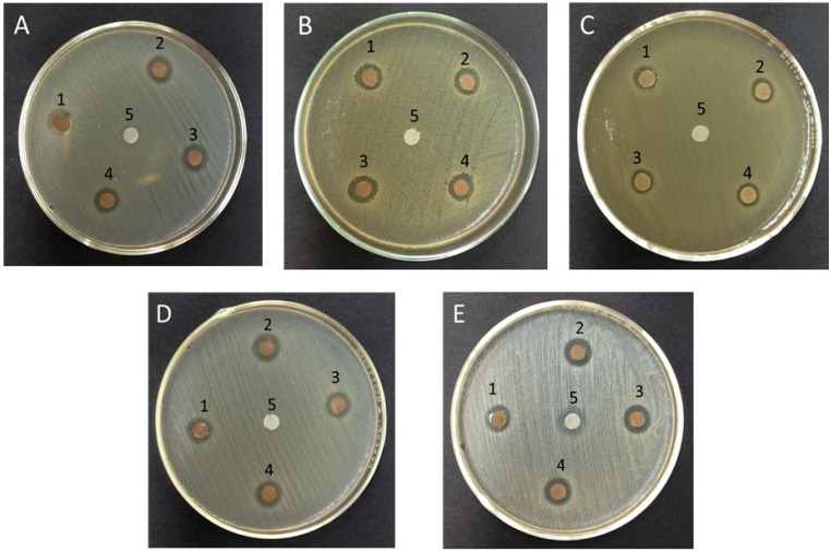 Figure 4