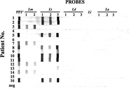 FIG. 4.