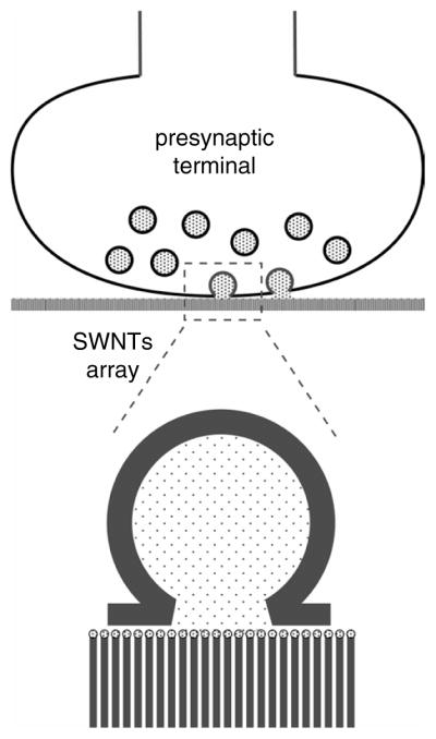 Fig. 10