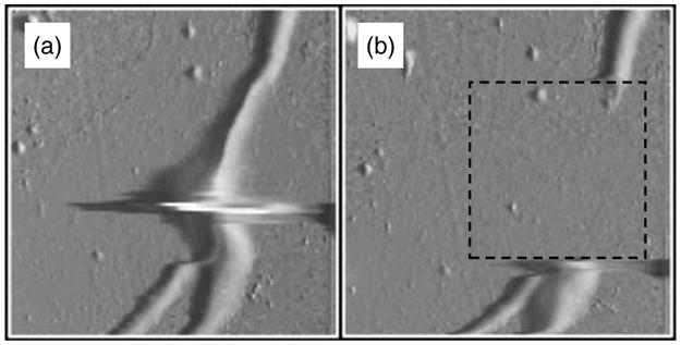 Fig. 12