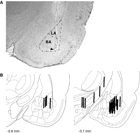 Fig. 1