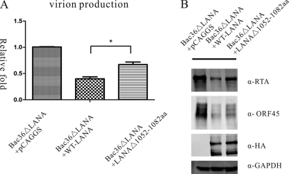 Fig 7